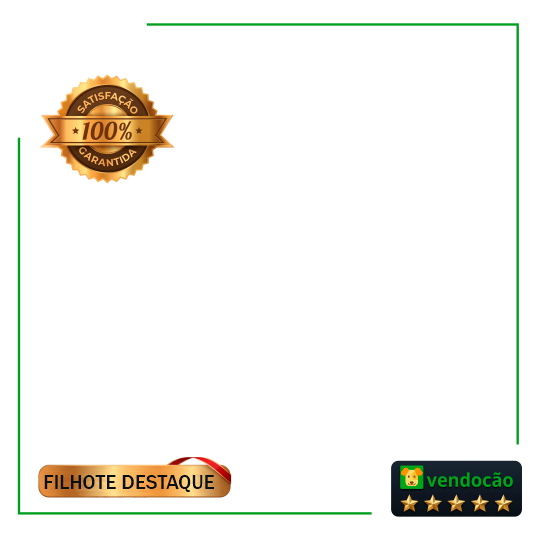 Destaque