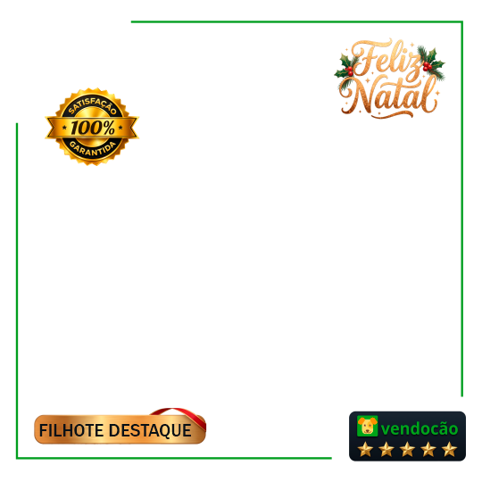 Destaque