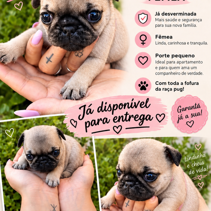 Linda filhote pug