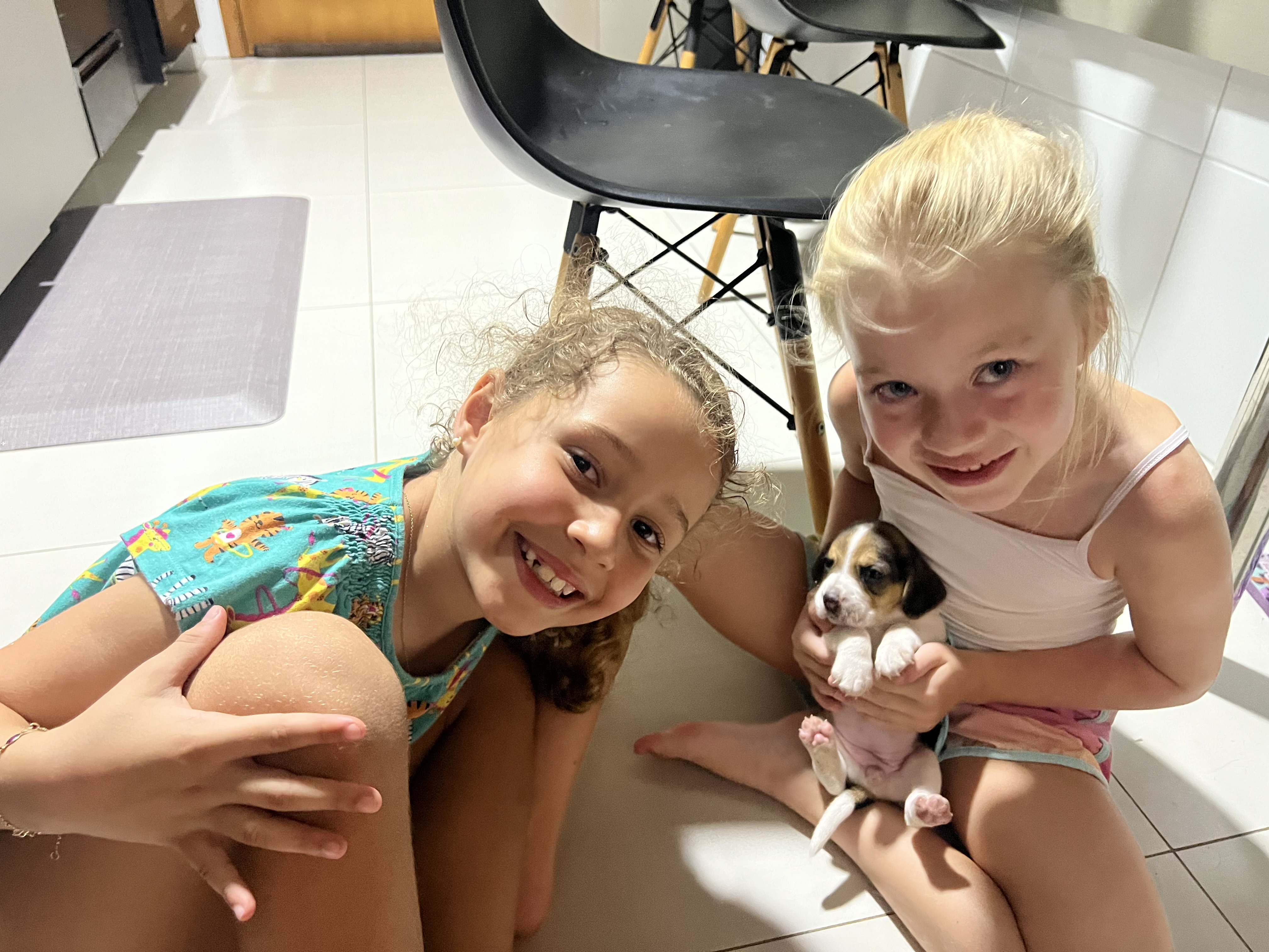 Portal Vendocão Venda  João Pessoa 