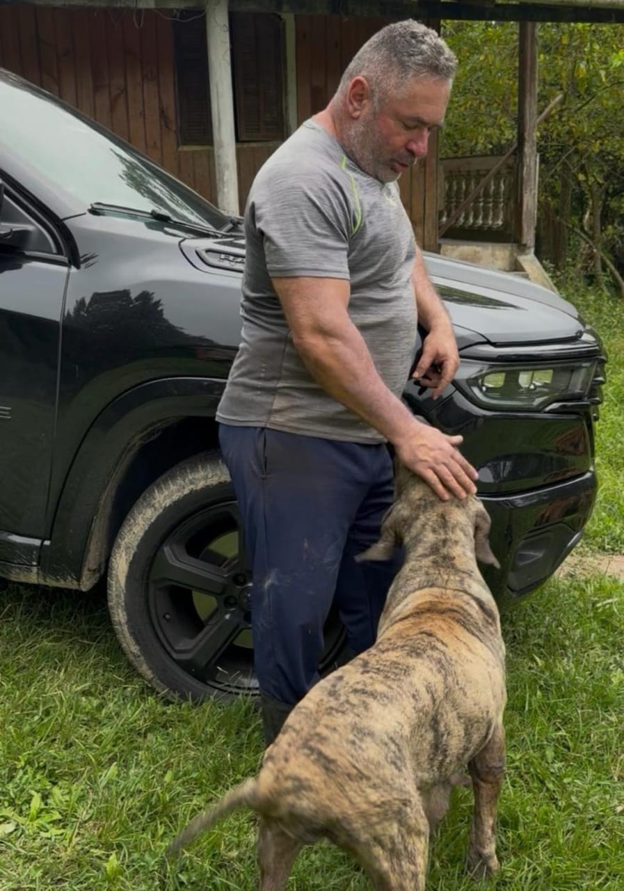 Fila brasileiro  - Foto 2