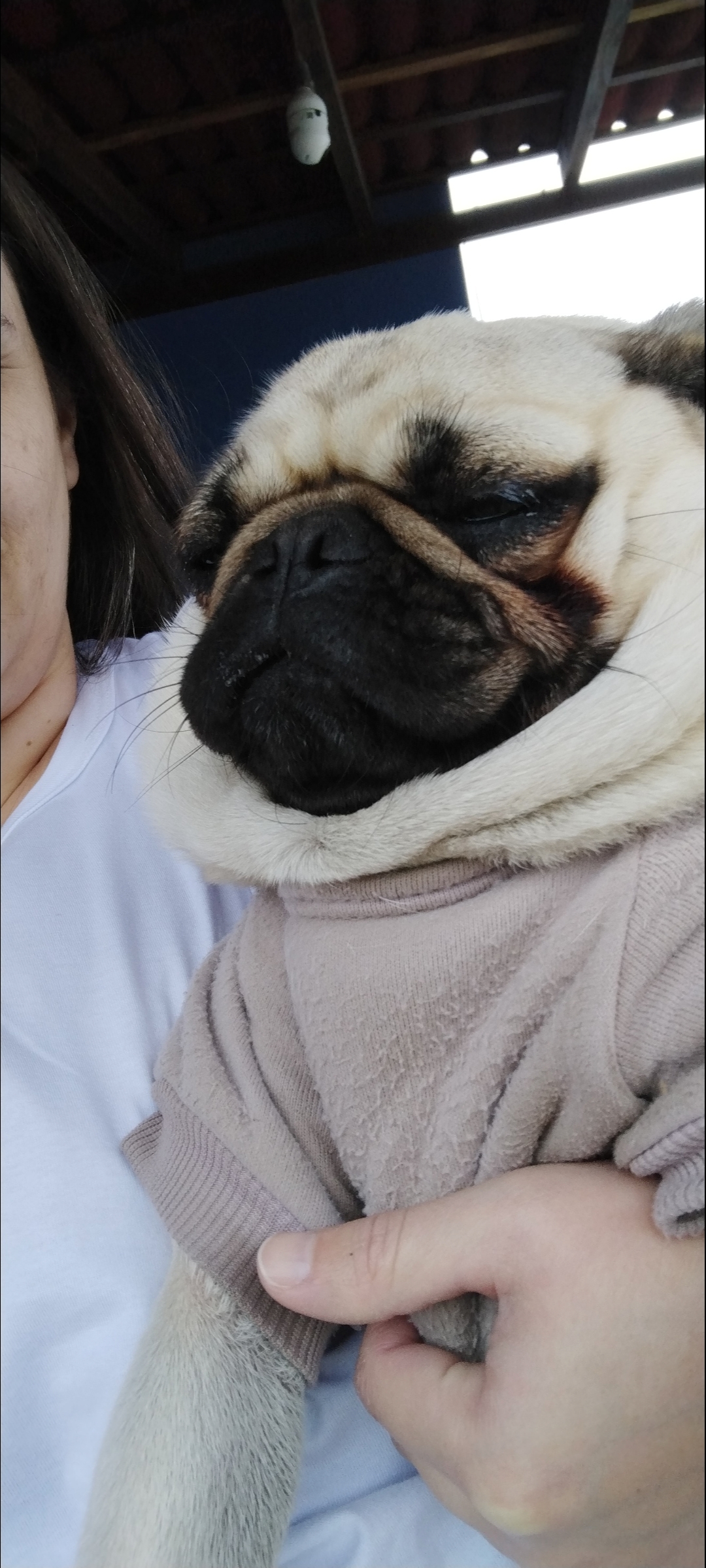 Portal Vendocão Venda Imbituba