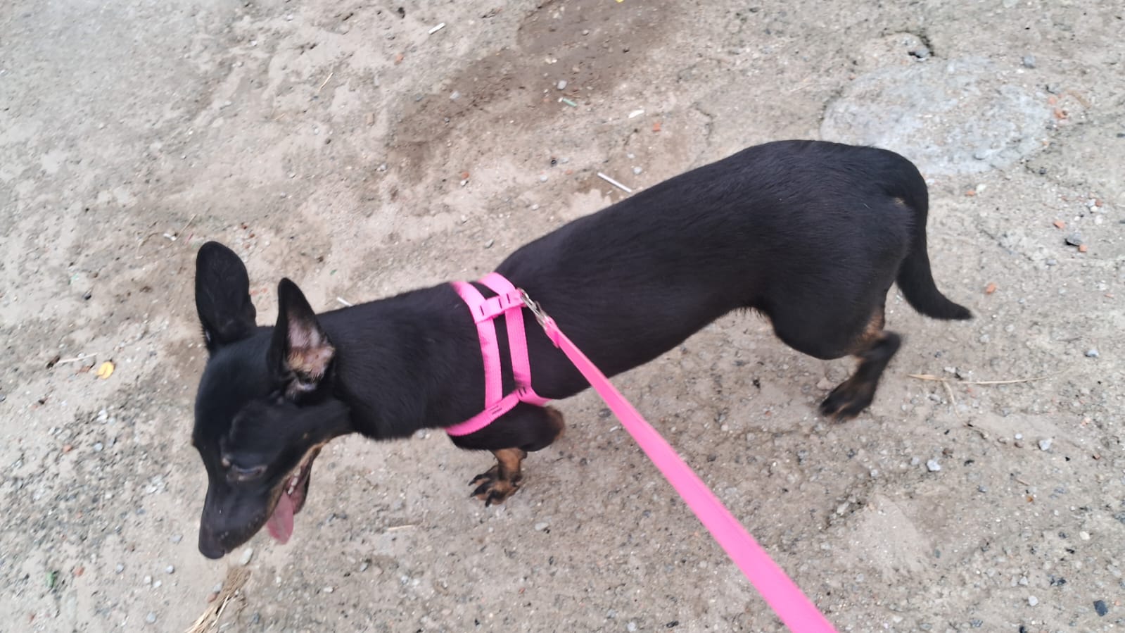 Portal Vendocão Doação  Rio de janeiro 