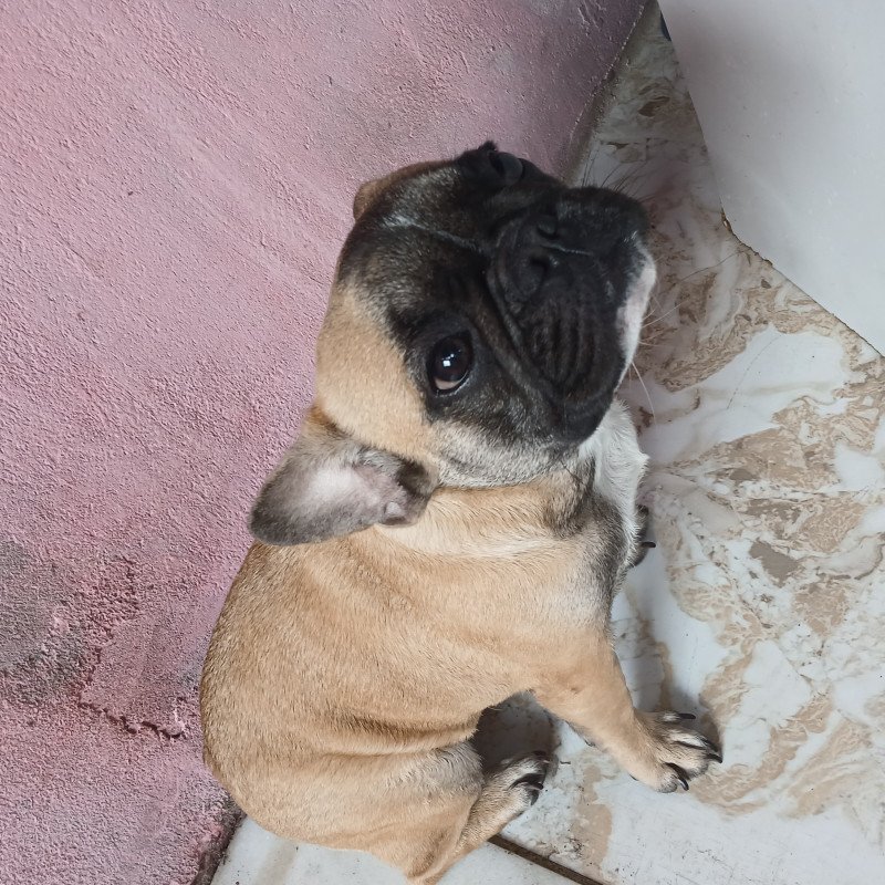 Vende-se - Foto 4