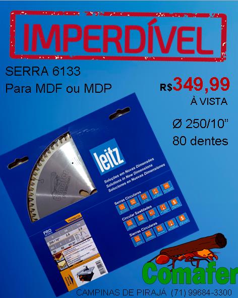 Portal Vendocão  Filhote de Spitz Alemão / Lulu da pomerânia  Salvador 