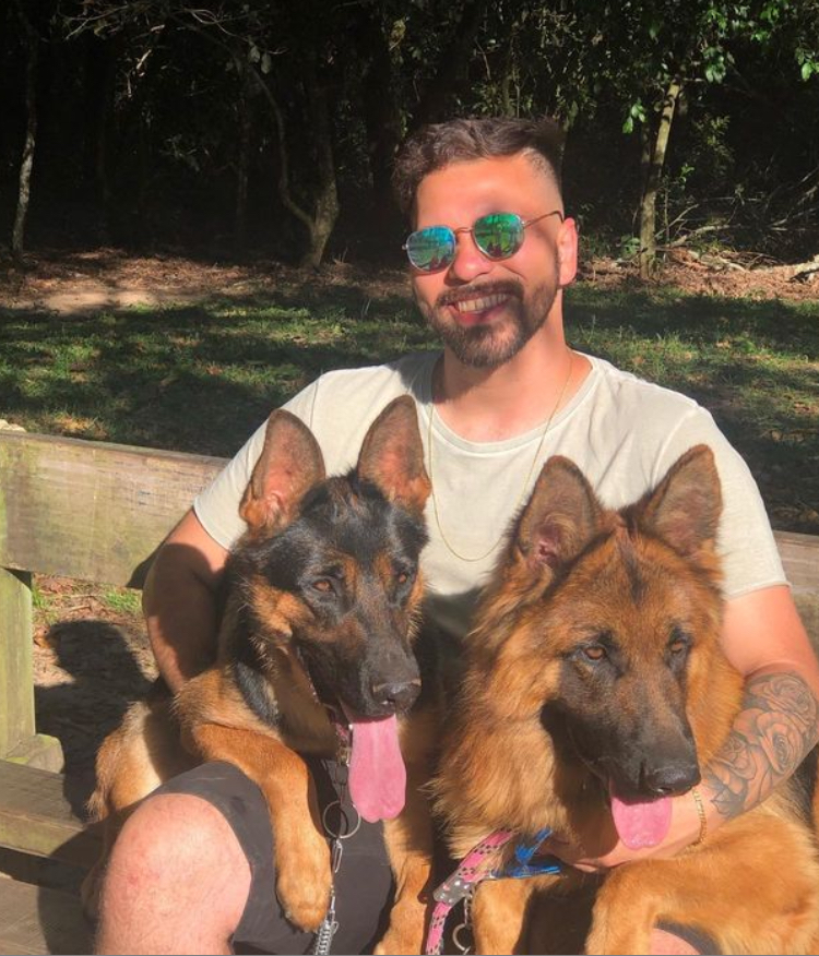 Portal Vendocão Filhotes Pastor Alemão Capa preta  Novo Hamburgo 