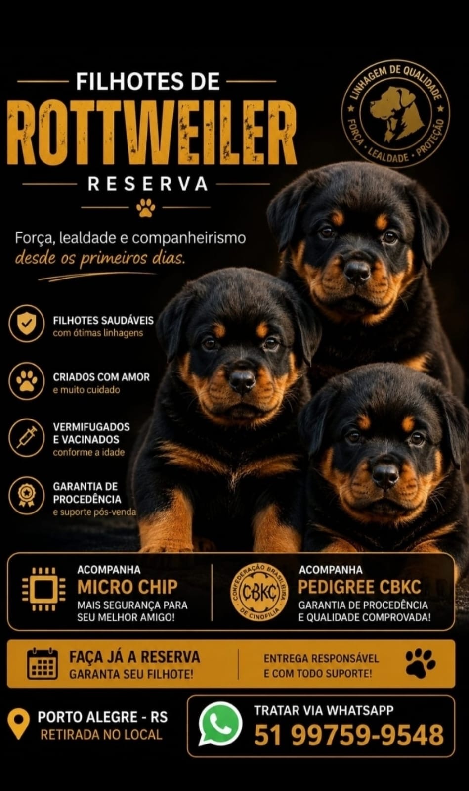 Vendo lindos Filhotes de Rottweiler 