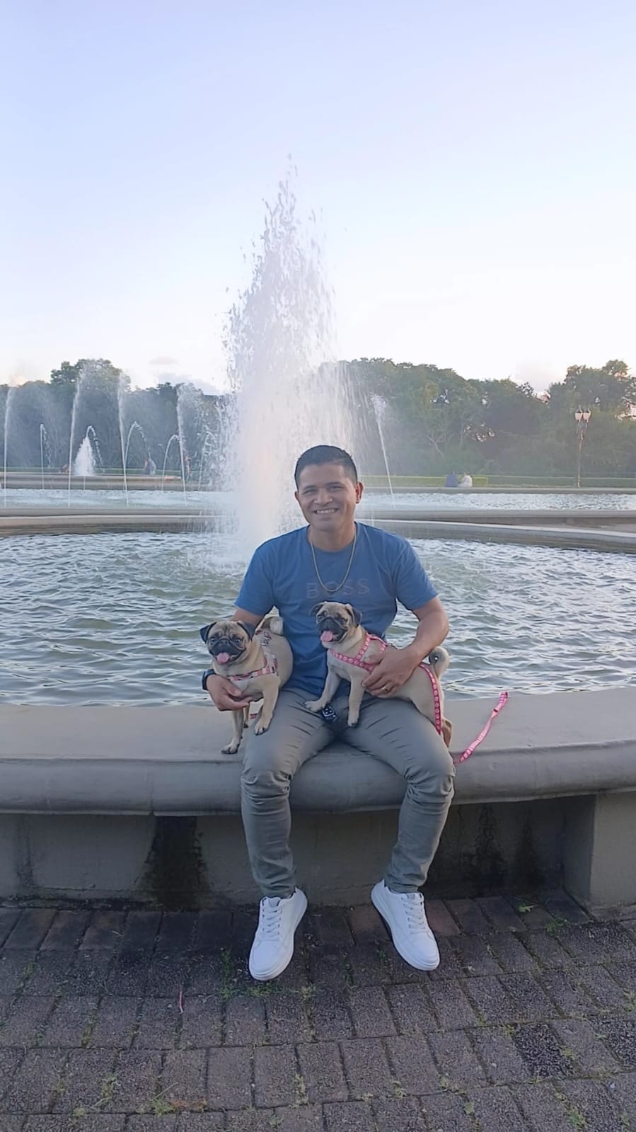 Portal Vendocão Pug fêmea filhote  São José dos Pinhais 