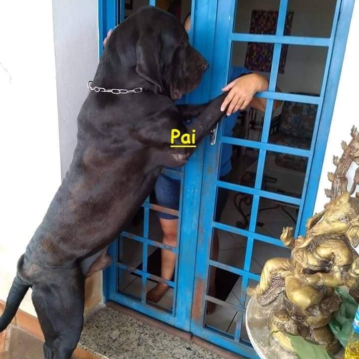 Portal Vendocão Fila Brasileiro  Álvares Machado