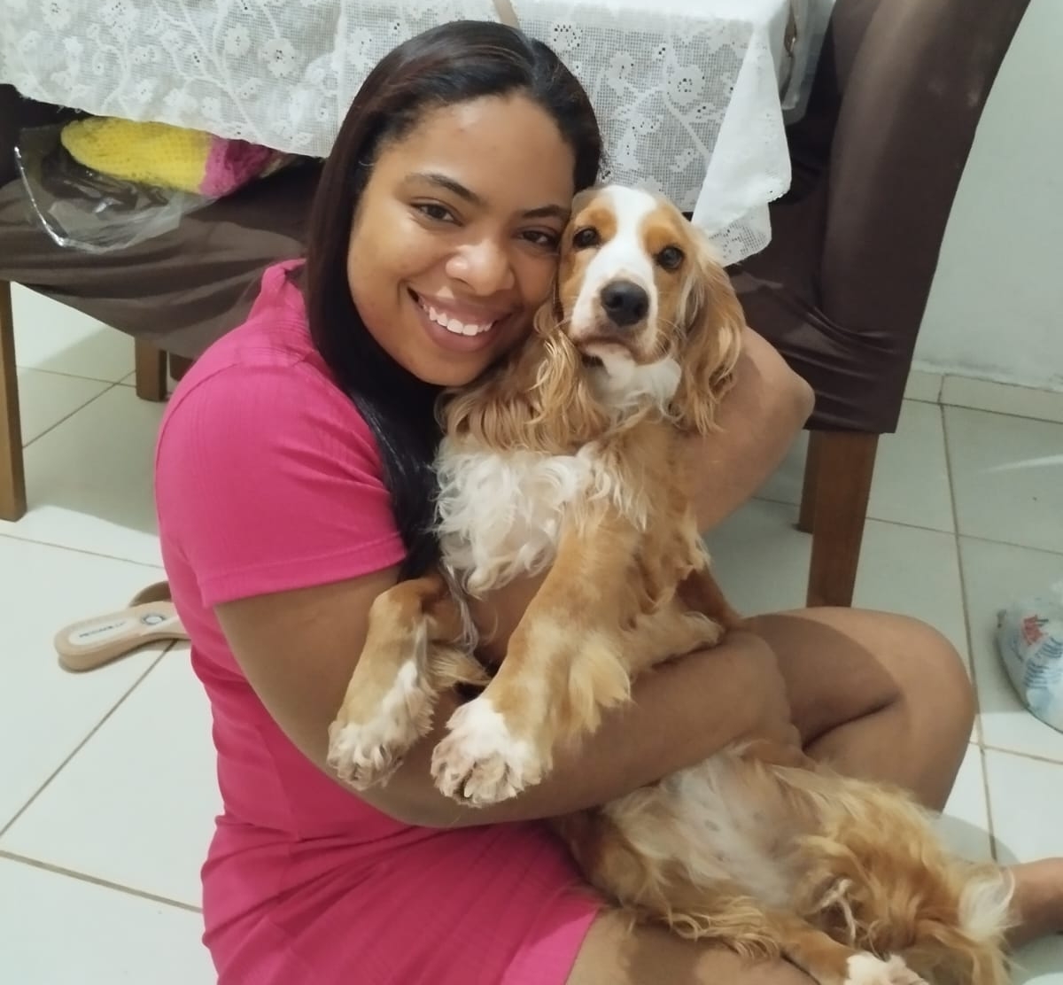 Portal Vendocão Cocker Spainel Pedigree  Salvador