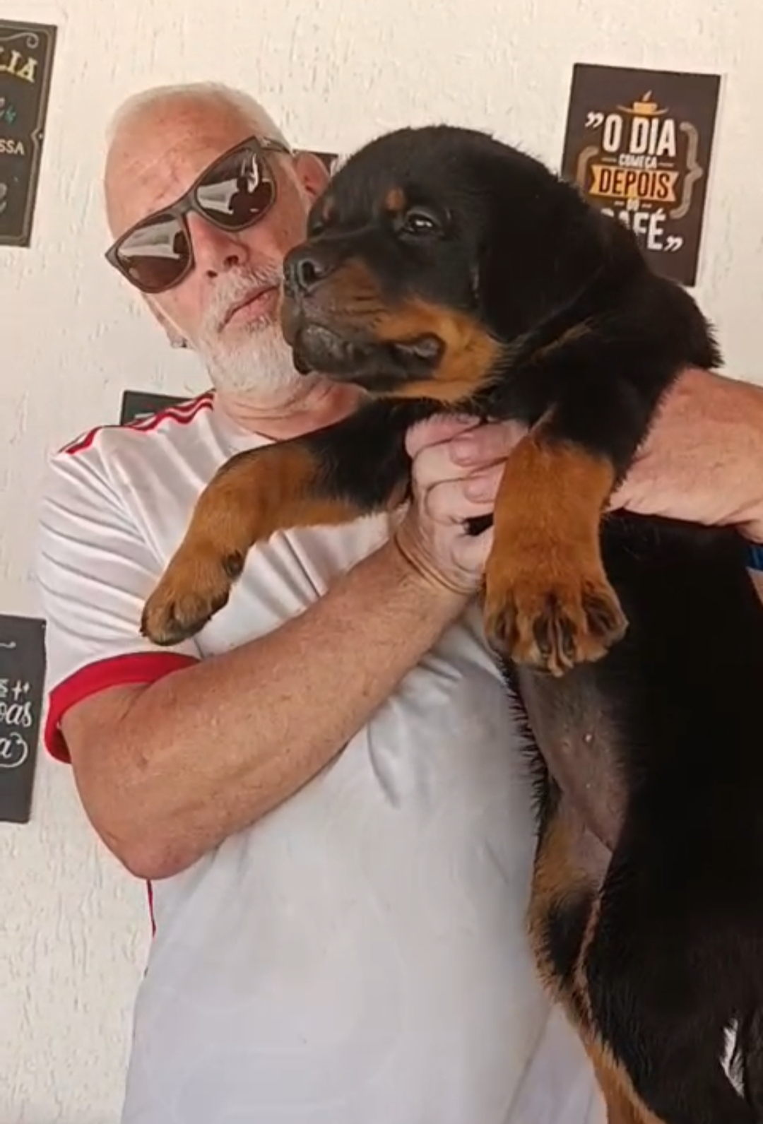 ROTTWEILER PEDIGREE CBKC - Foto 2