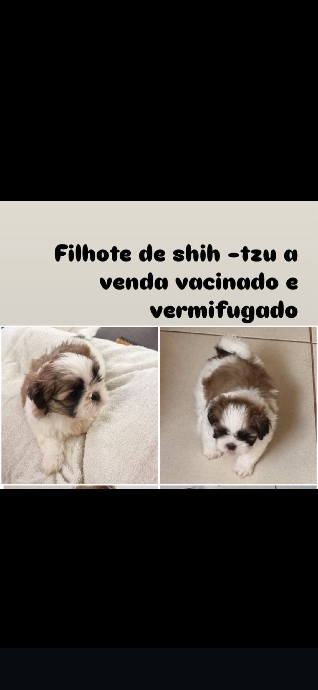Portal Vendocão Venda Brasília