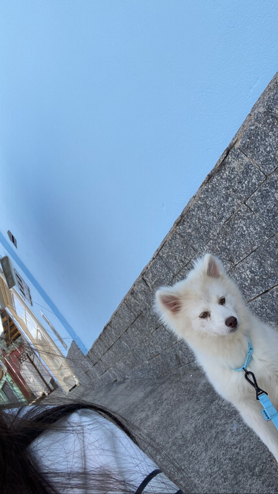 Portal Vendocão Pomsky Poços de Caldas 