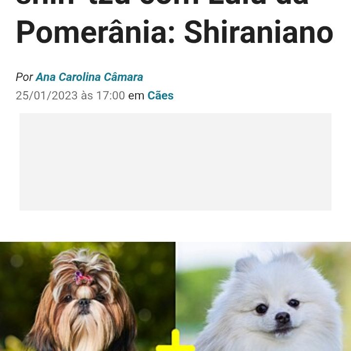 Shiranianos - Foto 5