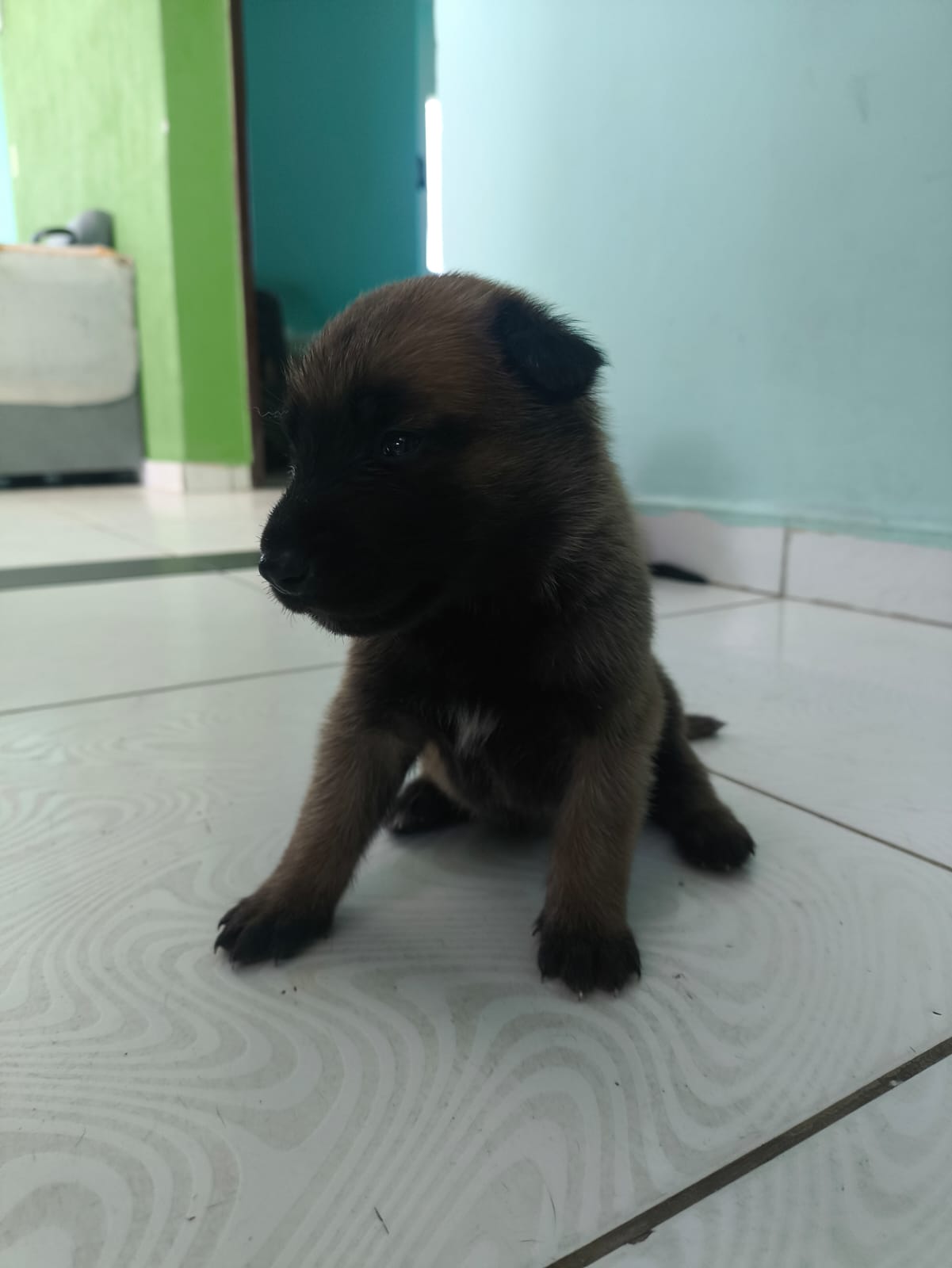 Vende-se  - Foto 4