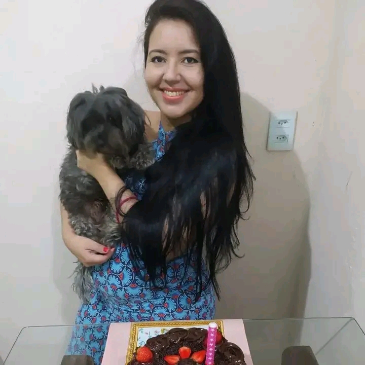 Portal Vendocão filhote de shithtzu com poodle  Maracanaú 