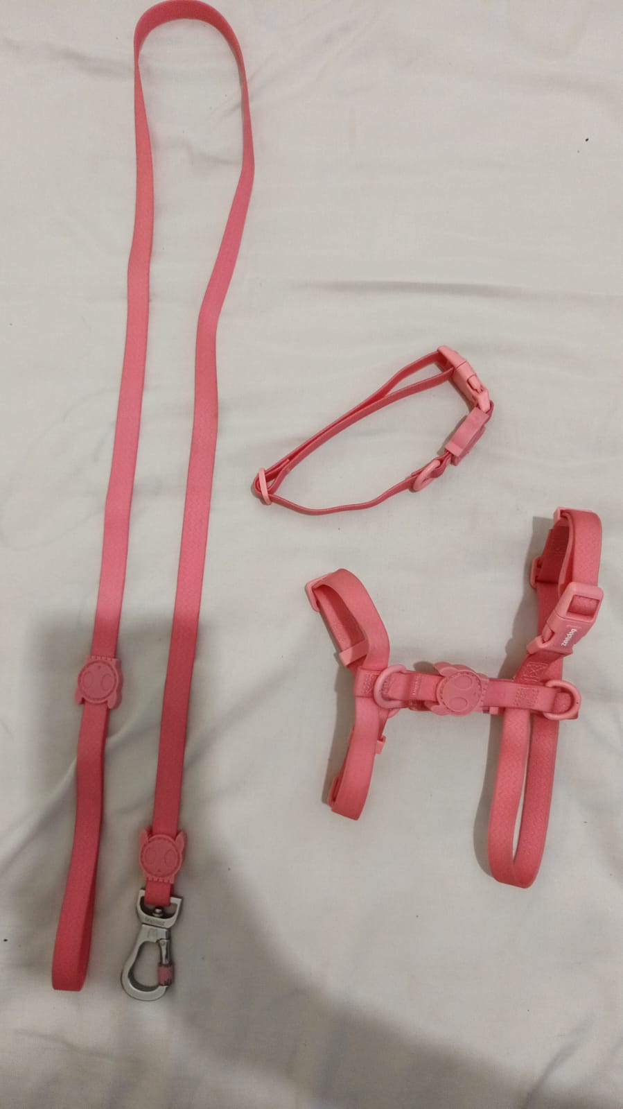 Portal Vendocão Vendo Pug femea - 9 meses João Pessoa