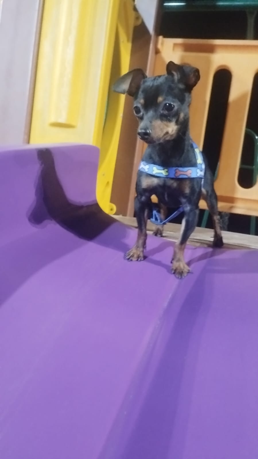 Portal Vendocão Venda Nova Iguaçu