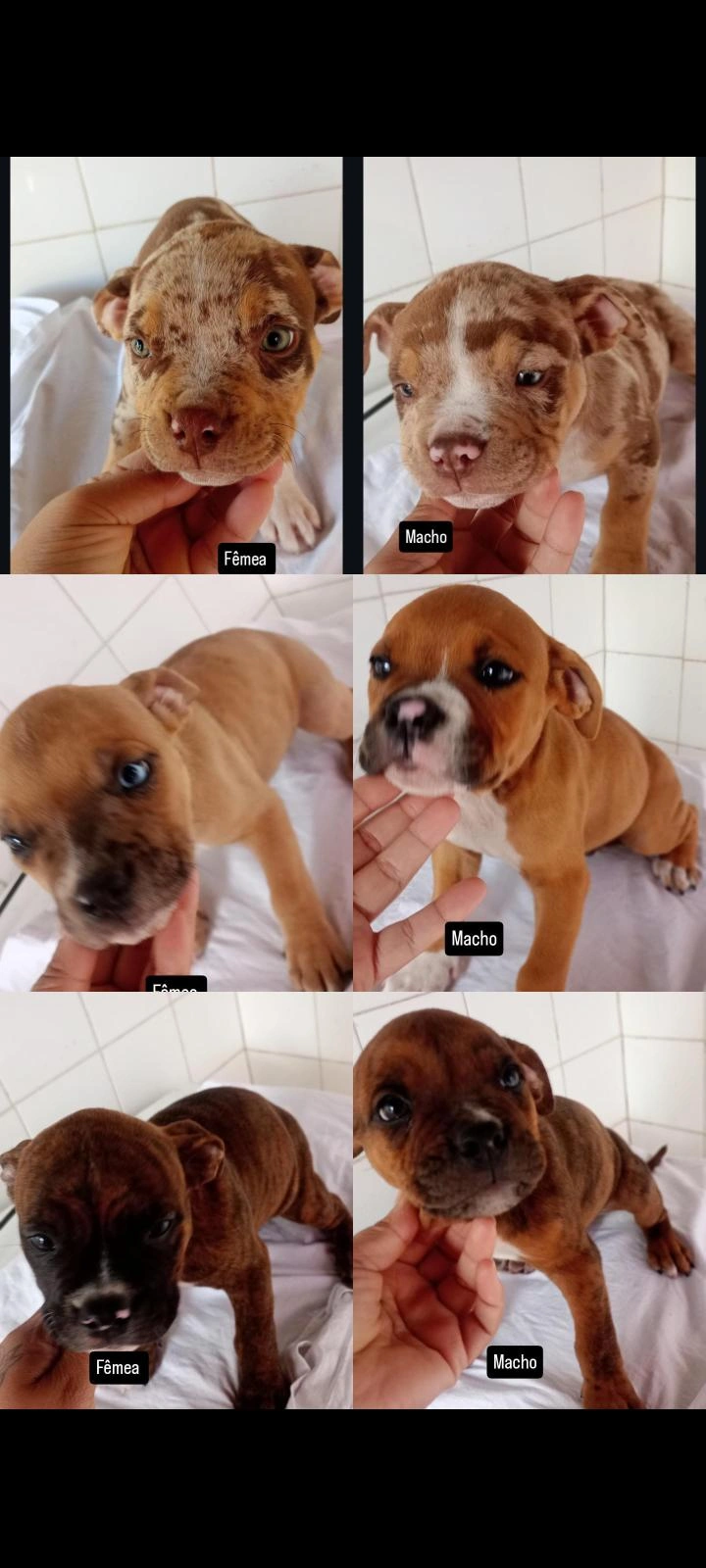 Vendo ou troco  - Foto 1