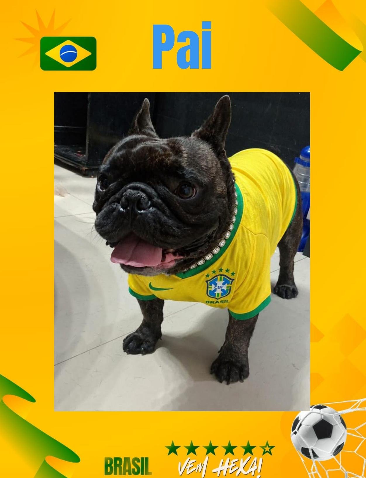 Filhotes de buldogue francês  - Foto 3