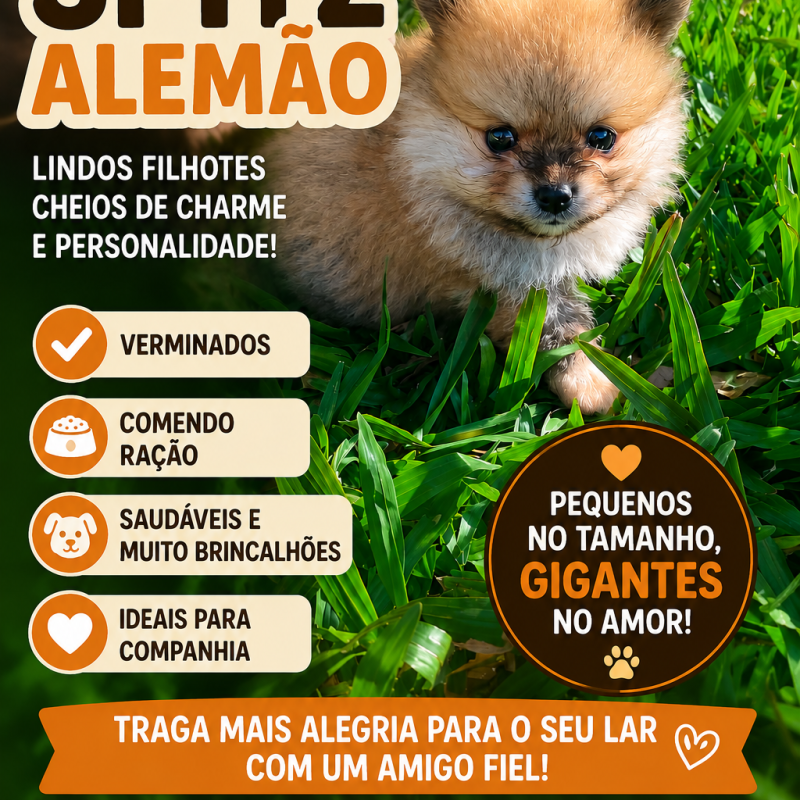 Lindos filhotes
