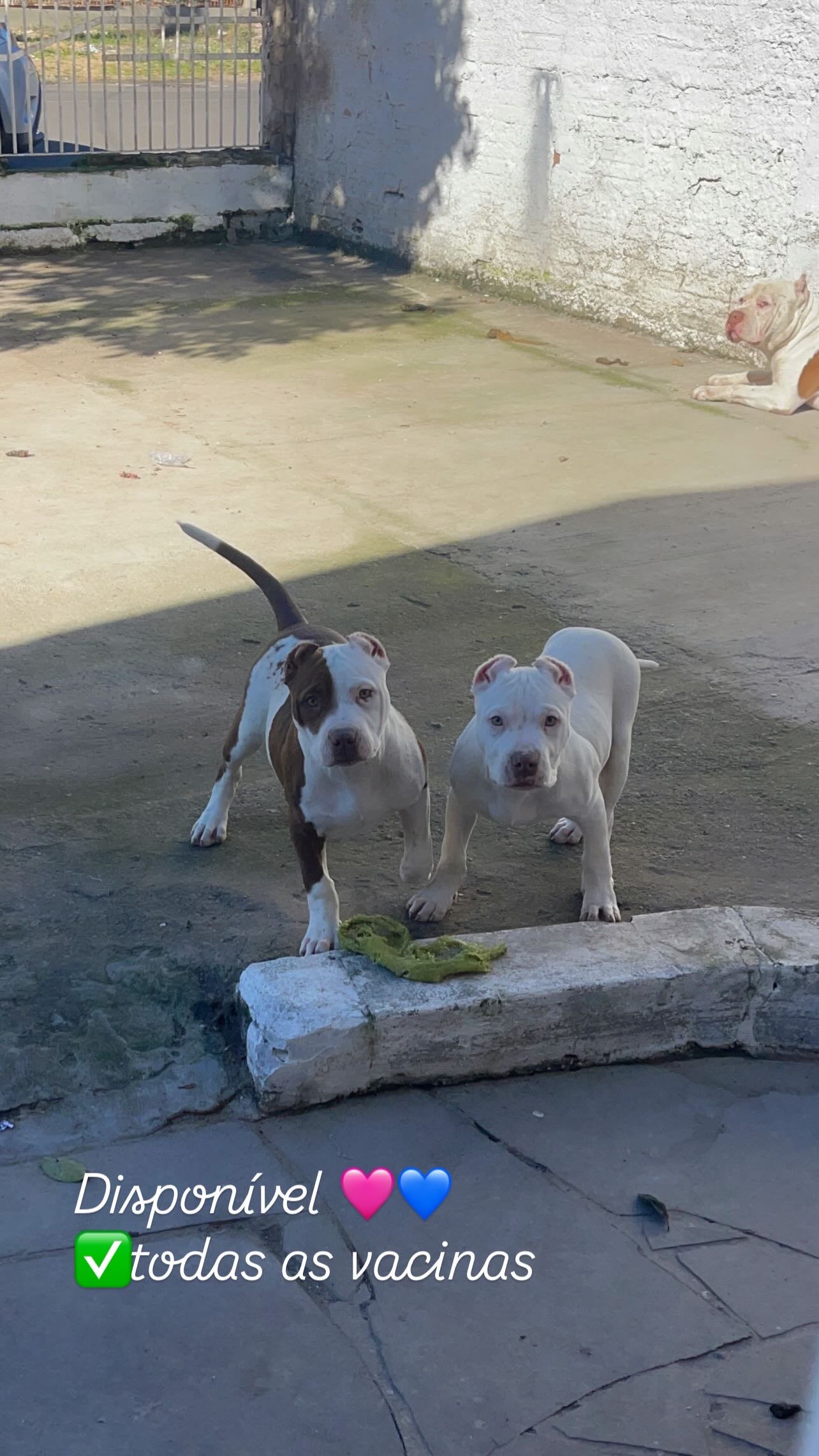 Vende-se 