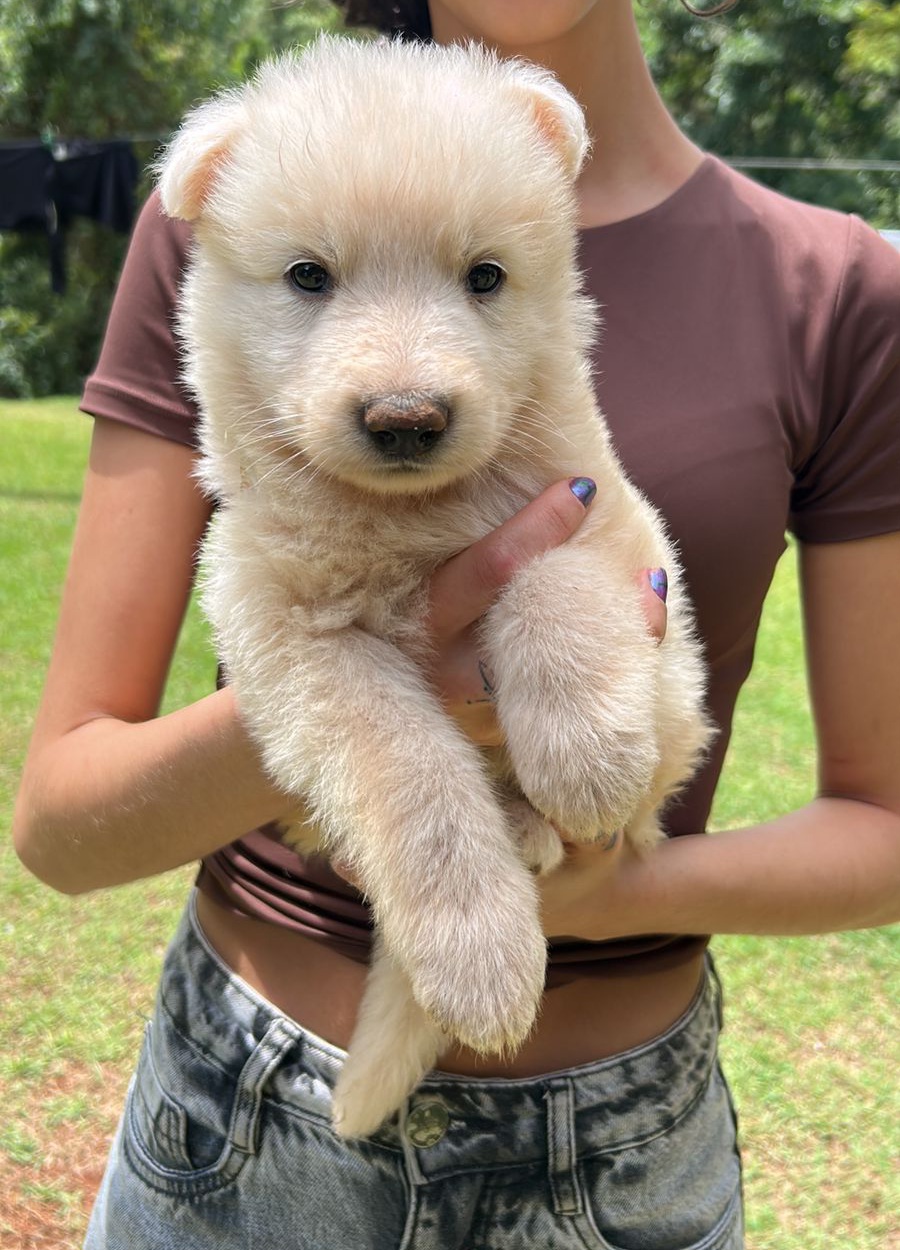 Portal Vendocão Matheus rodrigues ciccone michel  Jardim Canada(nova lima)9km de Belo Horizonte. 
