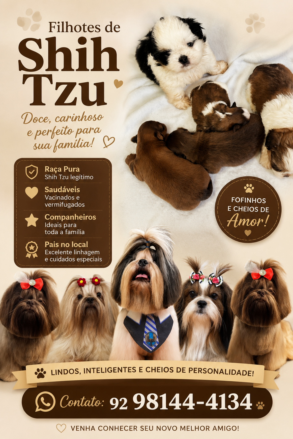 Shih Tzu Filhote  - Foto 5