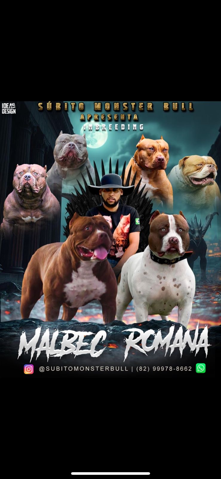 Portal Vendocão Pitmonster  Goiânia 