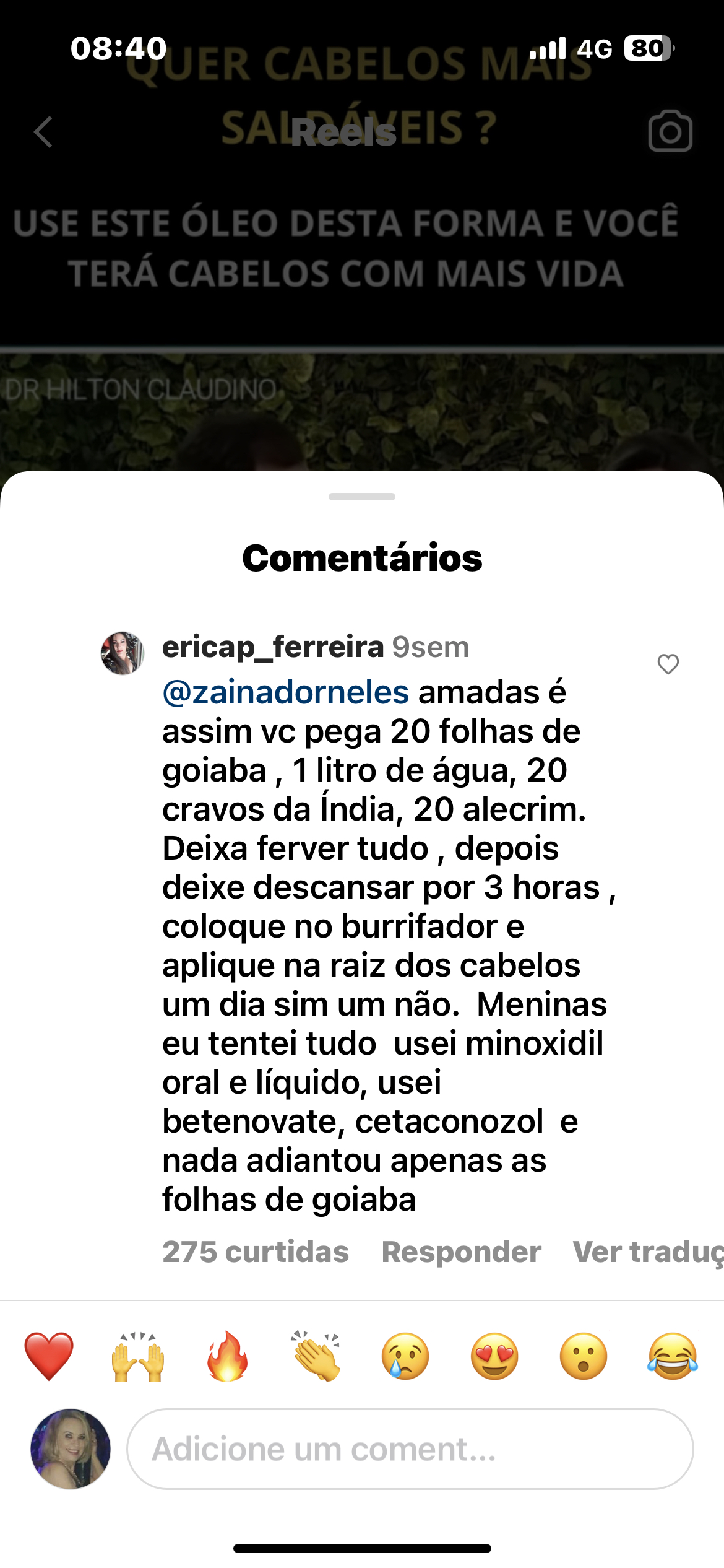 Spitz alemão  - Foto 1