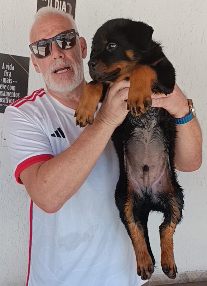 ROTTWEILER PEDIGREE CBKC - Foto 4