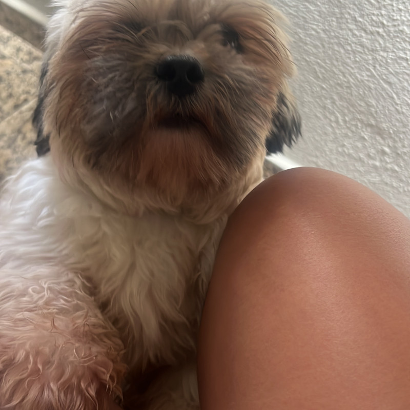 Lindo macho, com um aninho! - Foto 2
