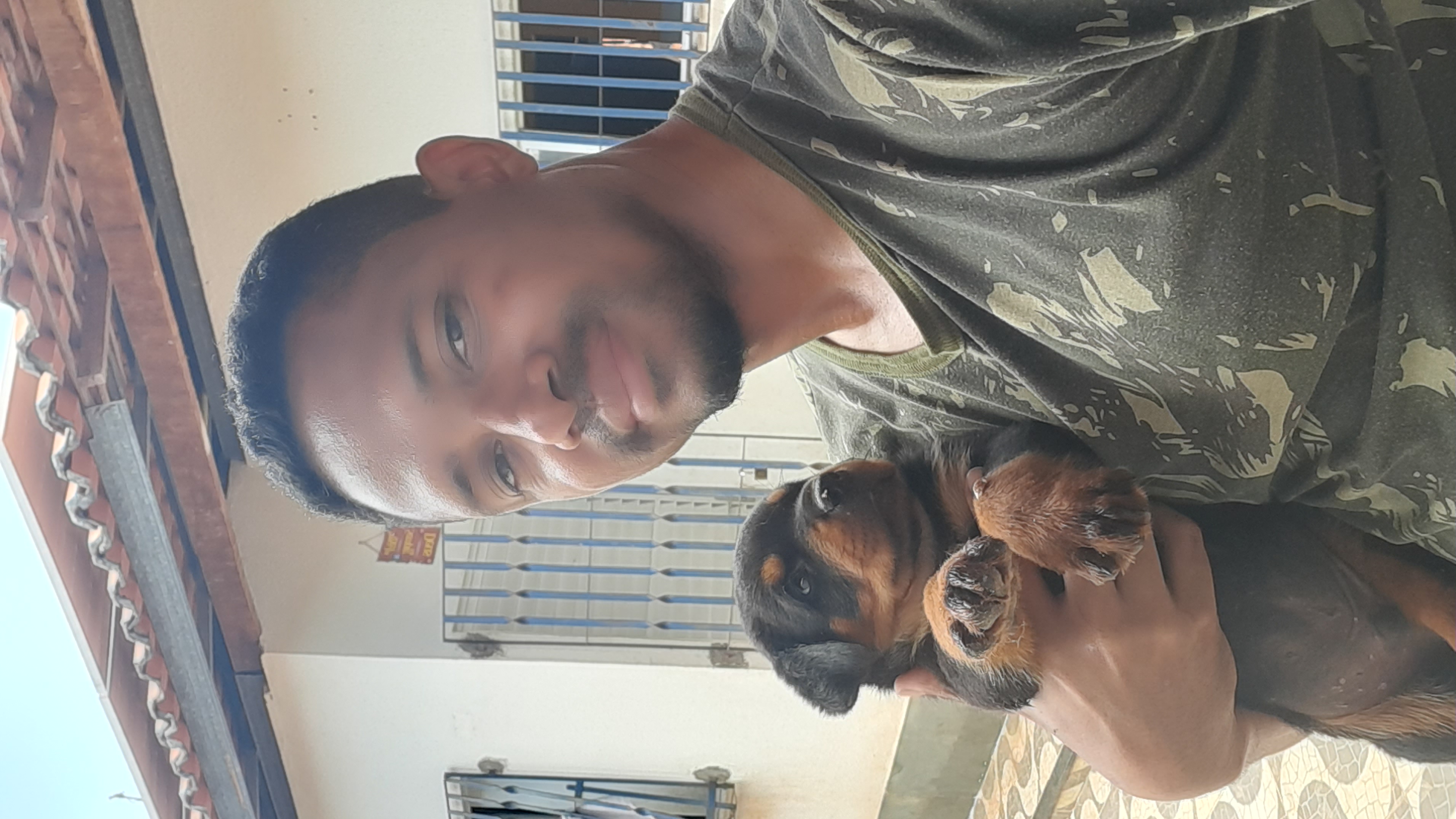 Portal Vendocão Filhotes de Rottweiler São Luís 