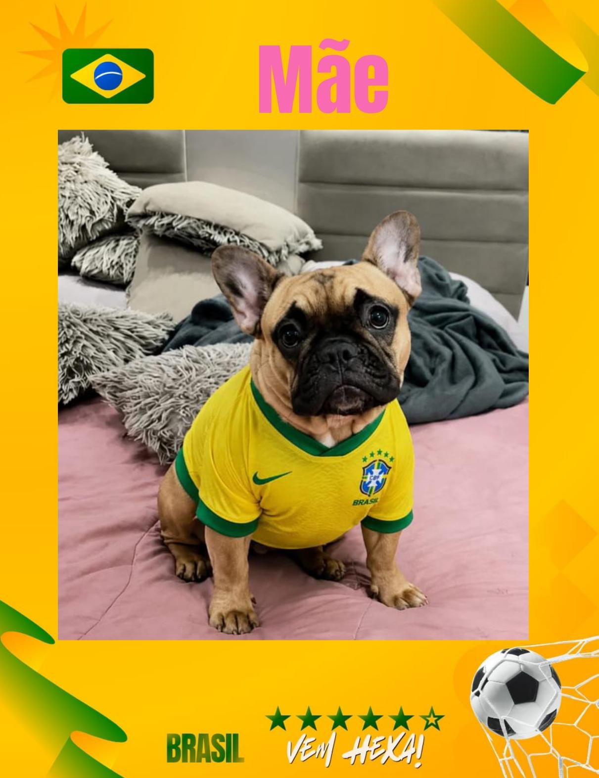 Filhotes de buldogue francês  - Foto 2