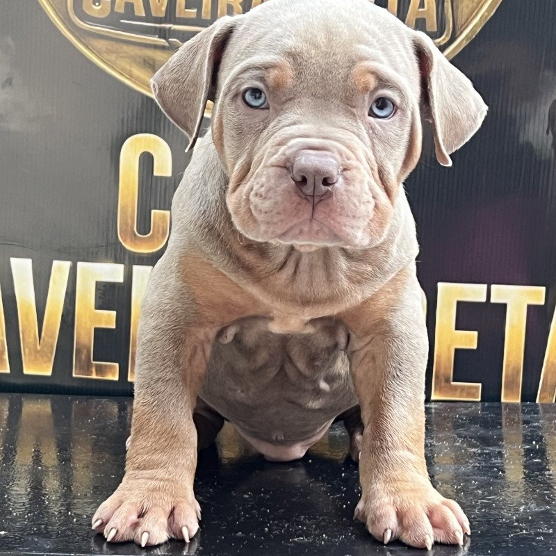 Pit monster