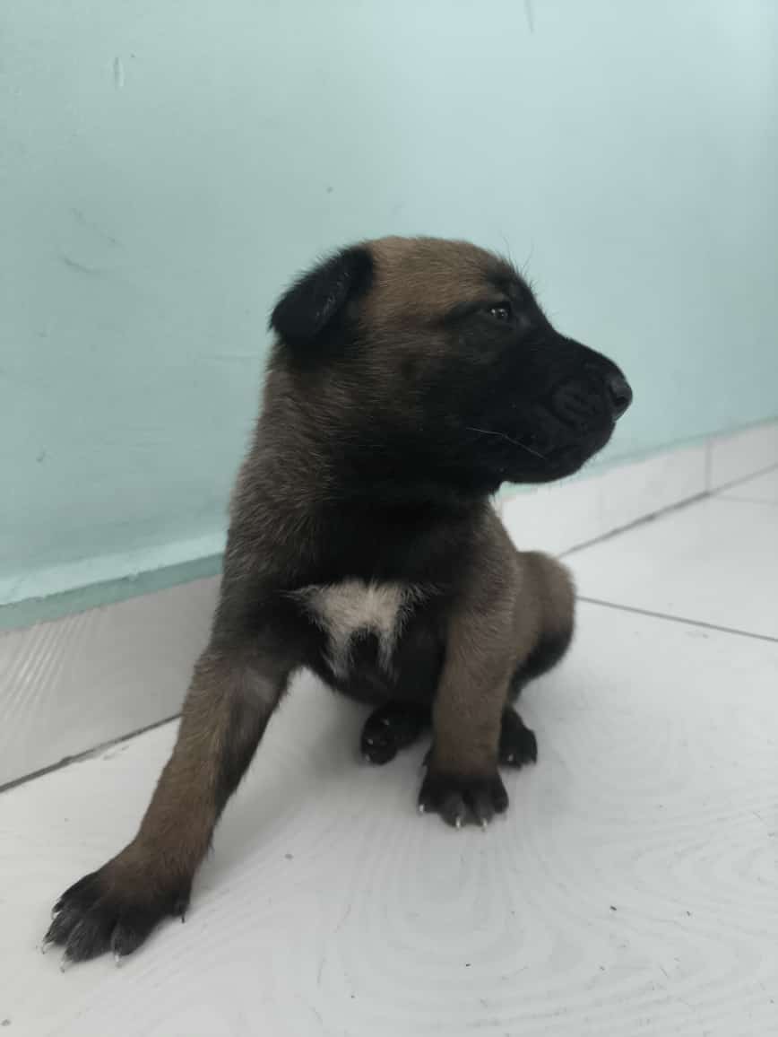 Vende-se  - Foto 5