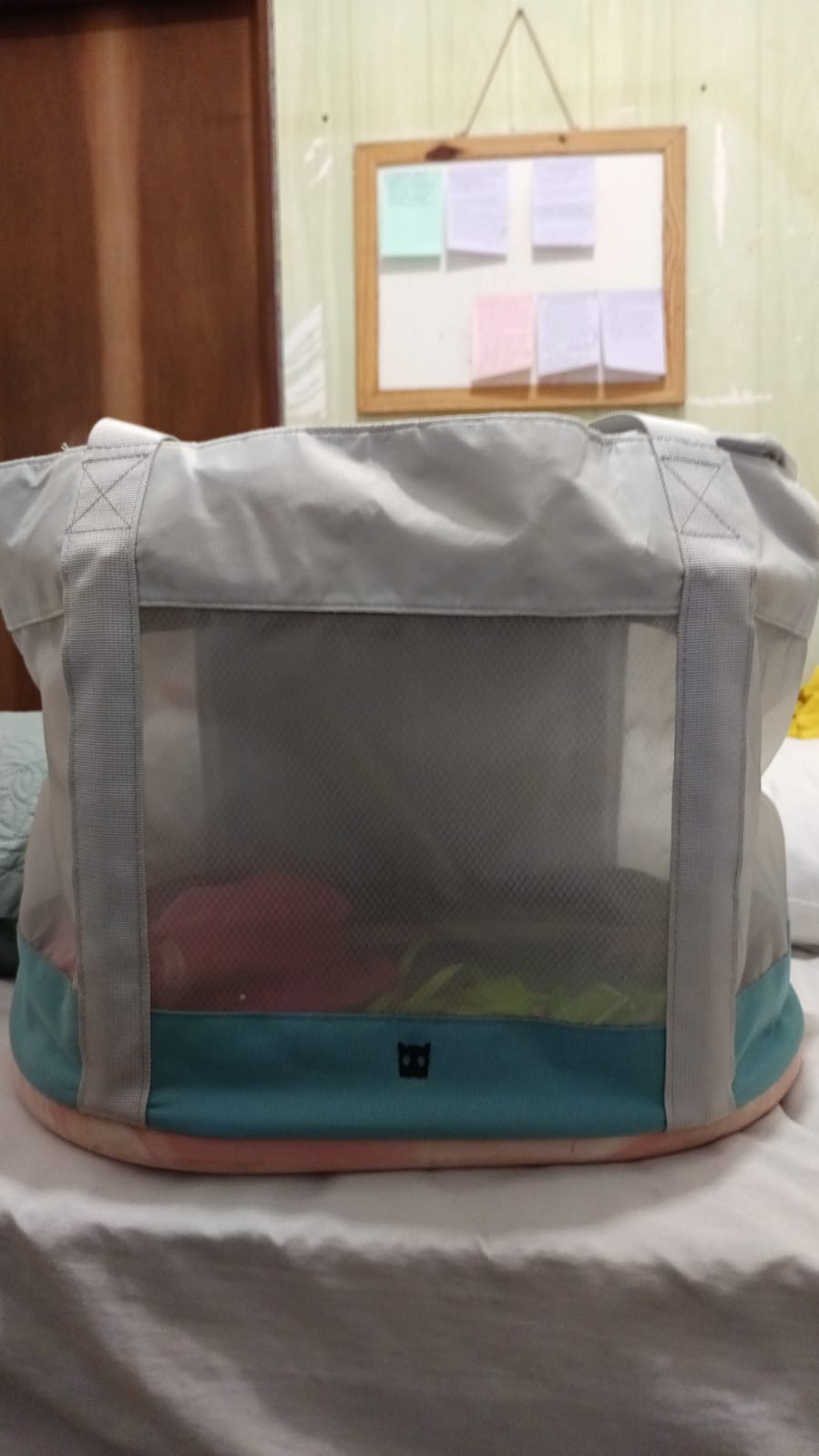 Portal Vendocão Vendo Pug femea - 9 meses João Pessoa