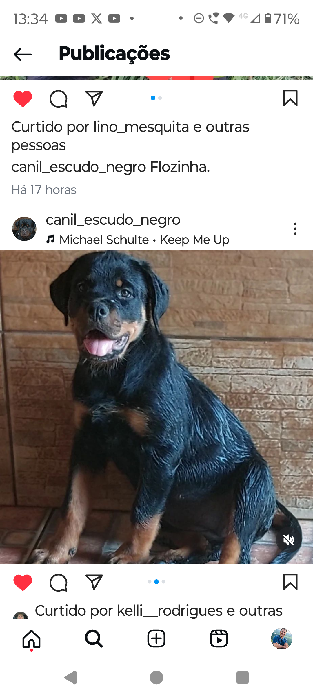 filhotes de Rottweiler Santo Antônio do Leverger