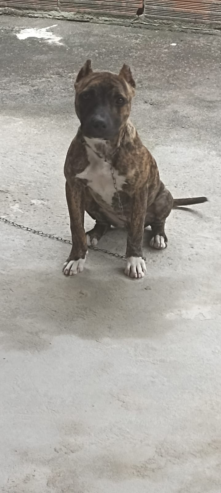 Portal Vendocão Venda Mucuri 