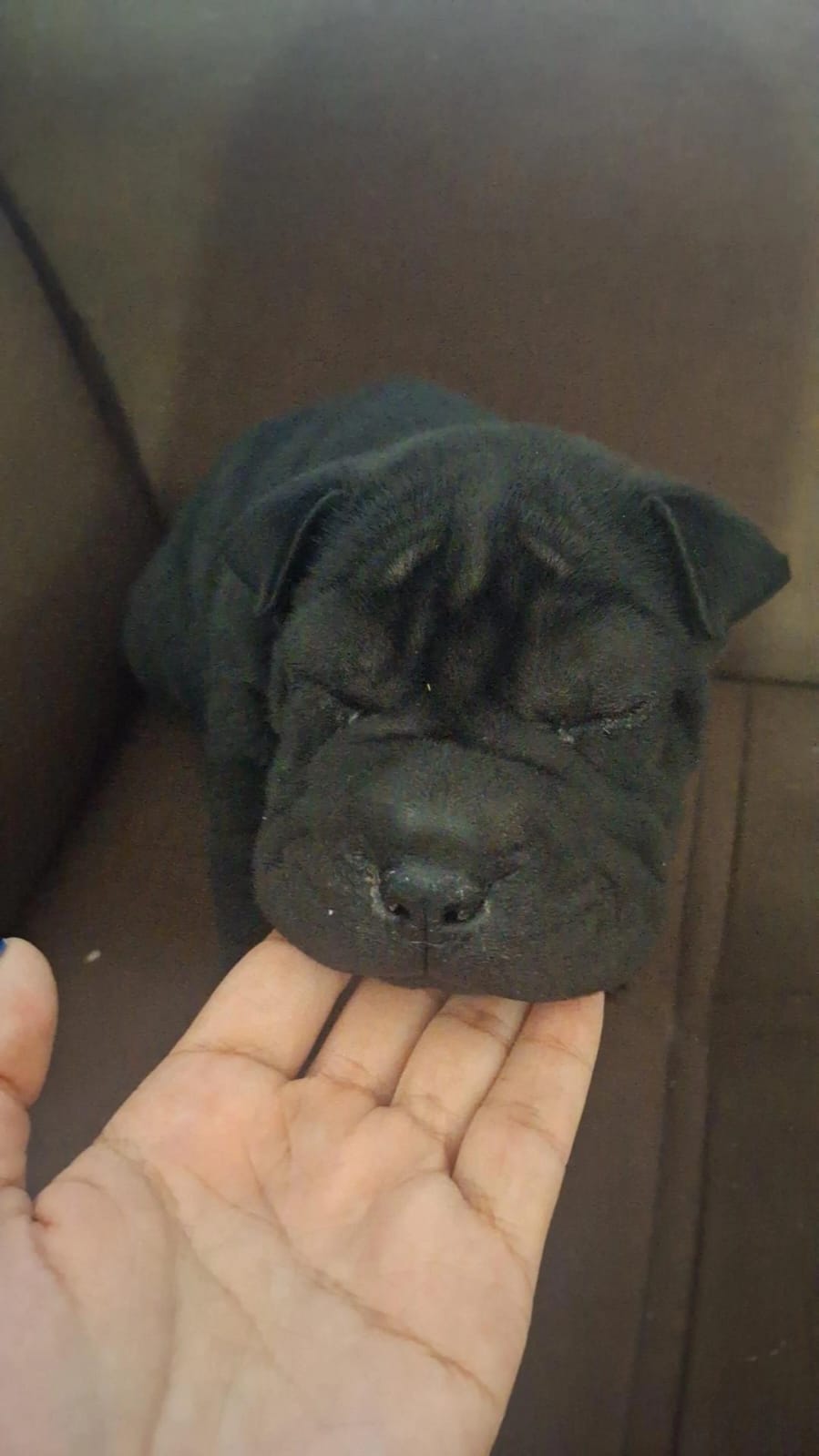 Portal Vendocão filhote shar pei  Betim