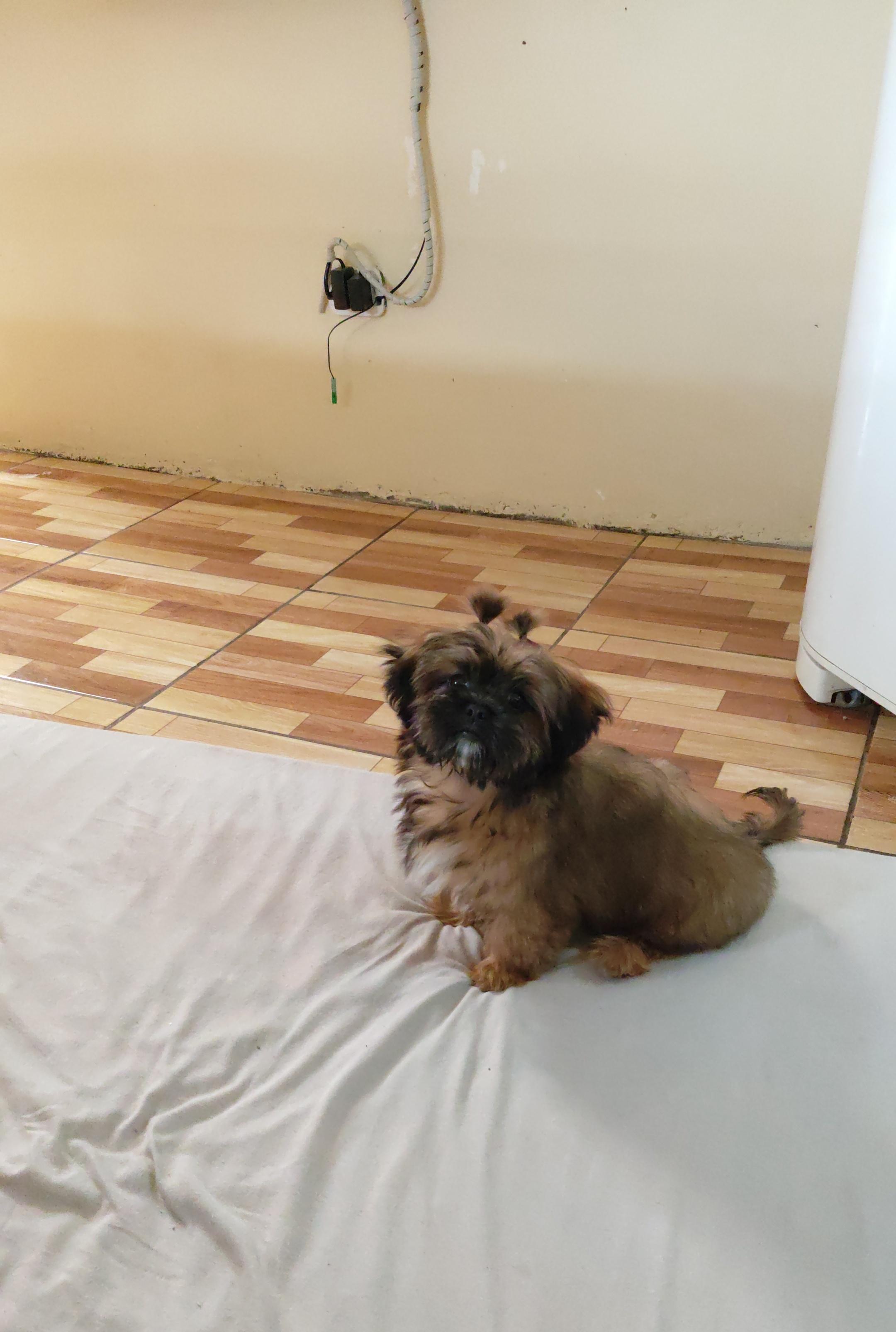 Portal Vendocão Venda São José dos Pinhais 
