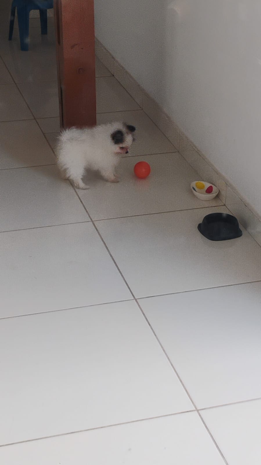 Vende se 