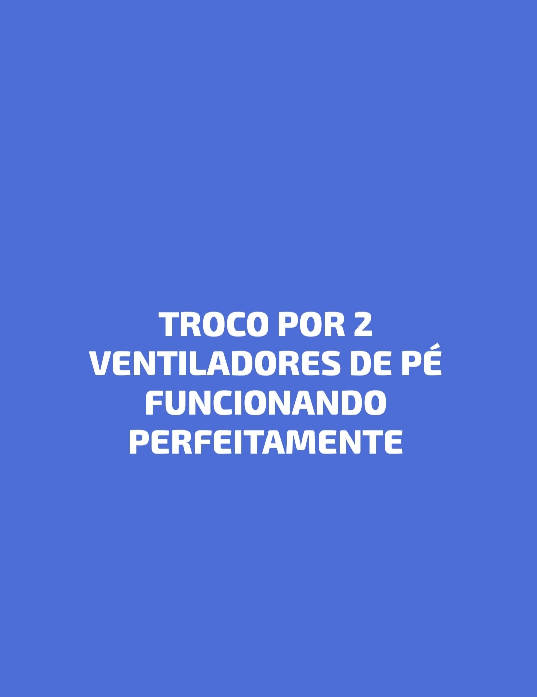 Portal Vendocão Vendo filhote fêmea de Pinscher n° 1 Paço do Lumiar