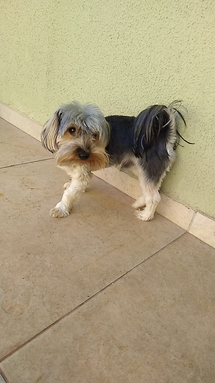 Portal Vendocão Venda Curitiba