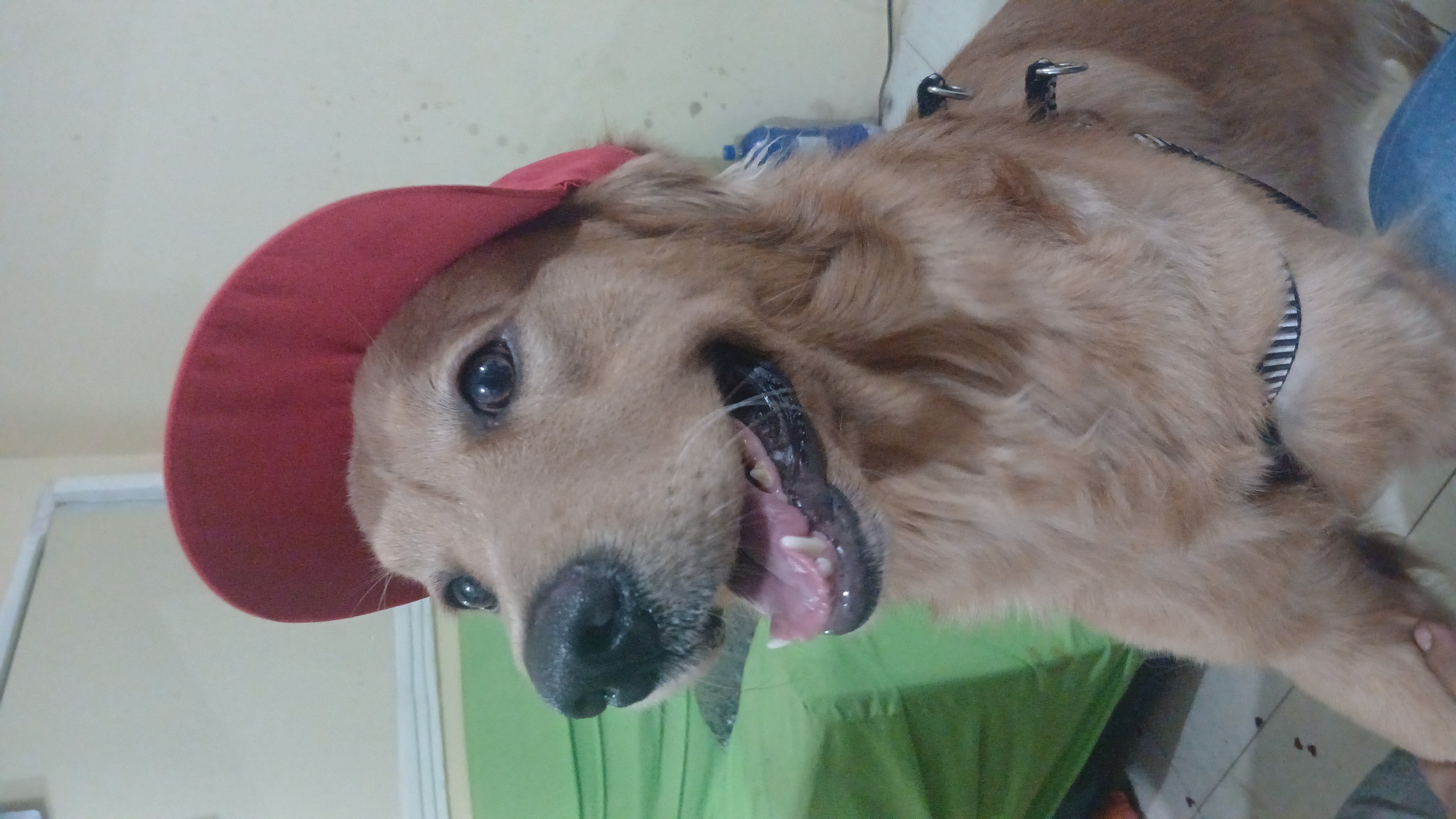 Vendo pq to sem tempo 