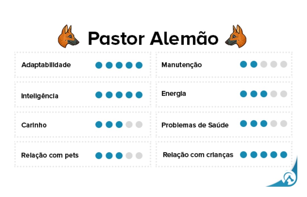Portal Vendocão Pastor Alemão Capa Preta Filhote  Campinas 