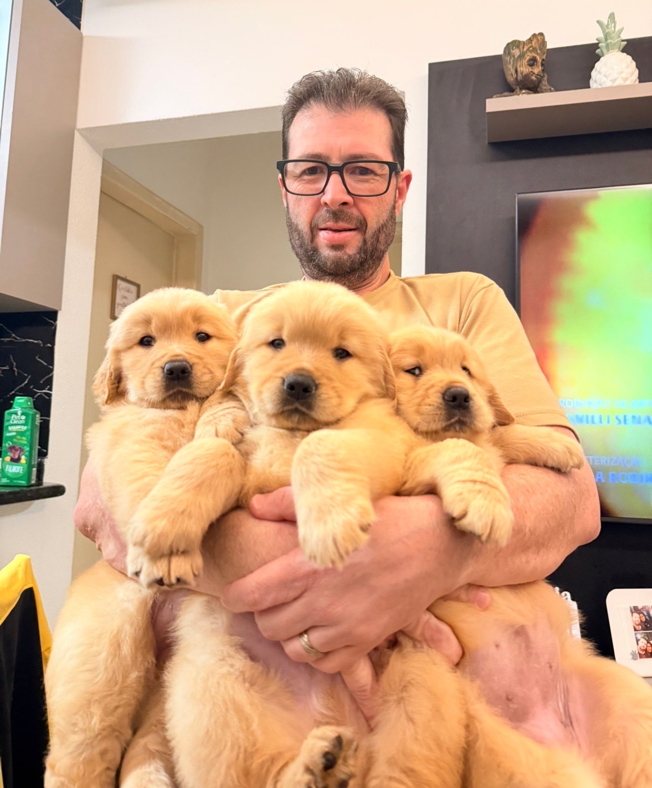 Lindos Filhotes de Fêmeas de Golden Retrivier já vacinados! - Foto 4