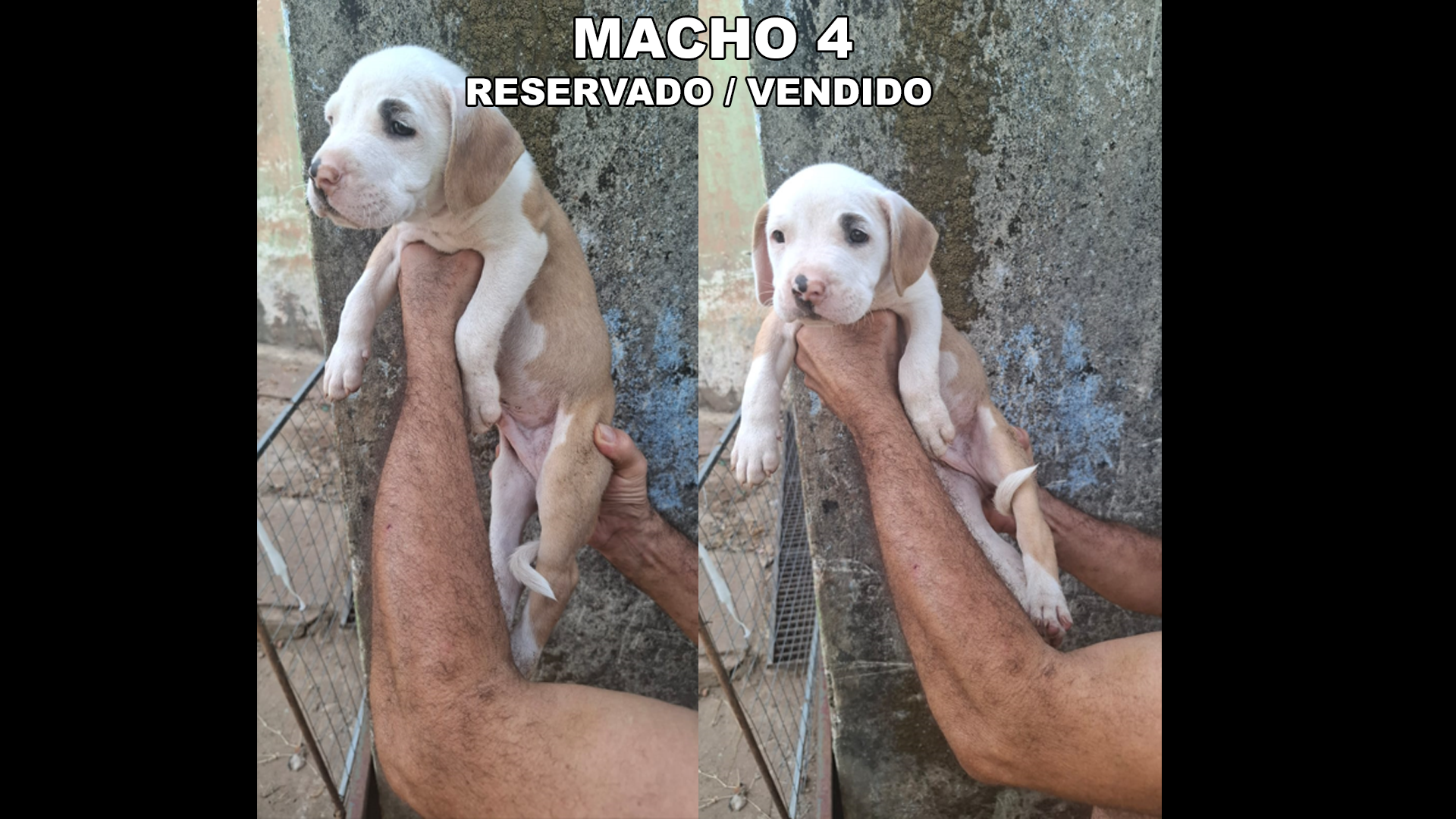 VENDAS  - Foto 3
