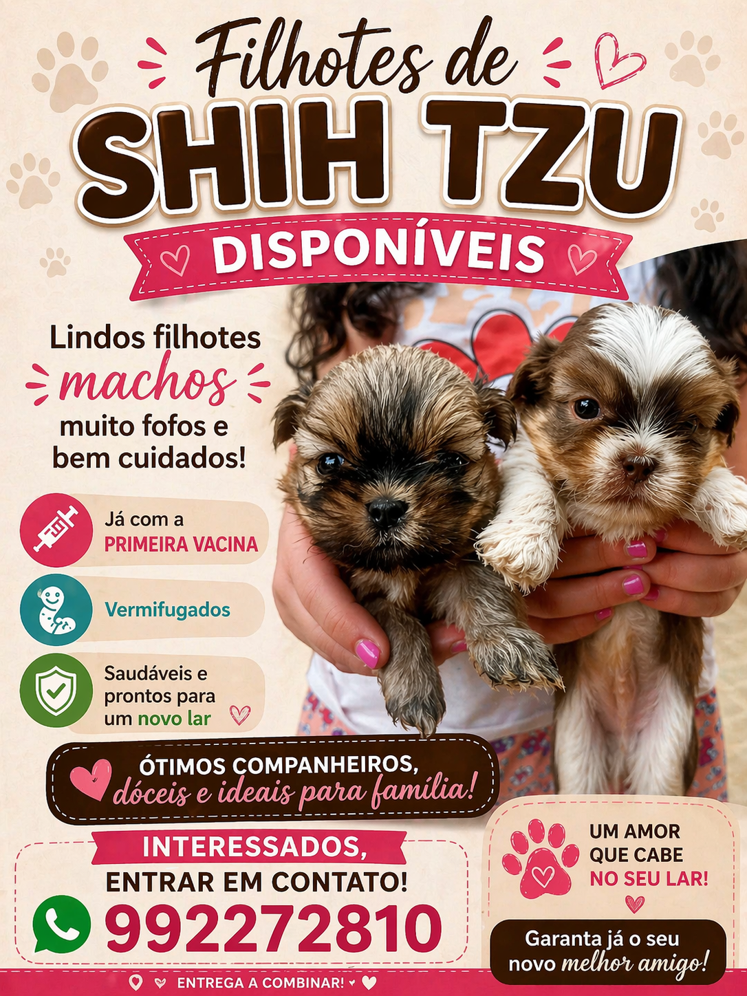 Filhotes machos - Foto 1