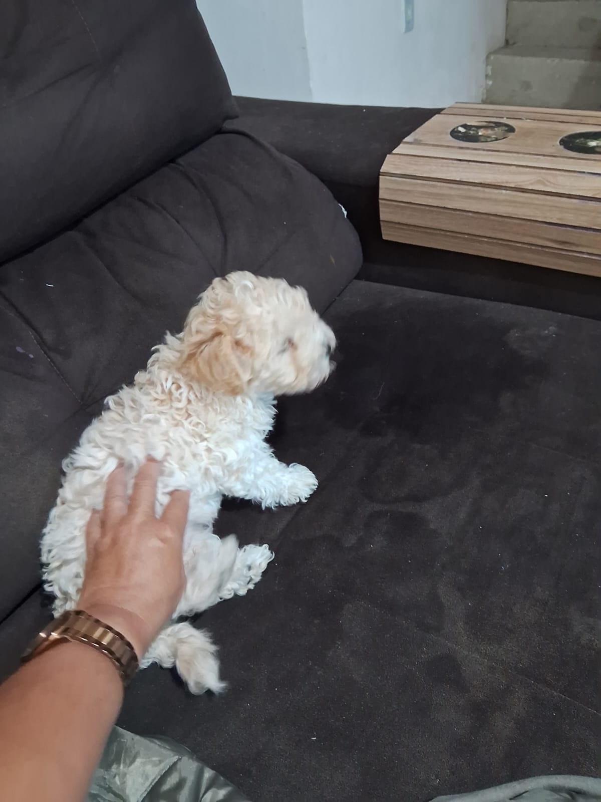 Portal Vendocão venda Rio de Janeiro